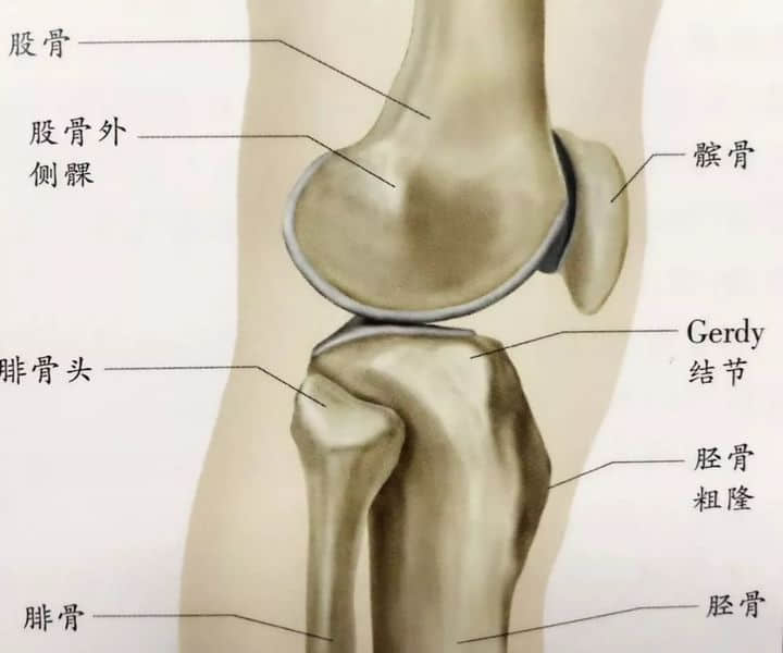 髕骨周?chē)?，膝“打軟”，說(shuō)說(shuō)髕股疼痛綜合征