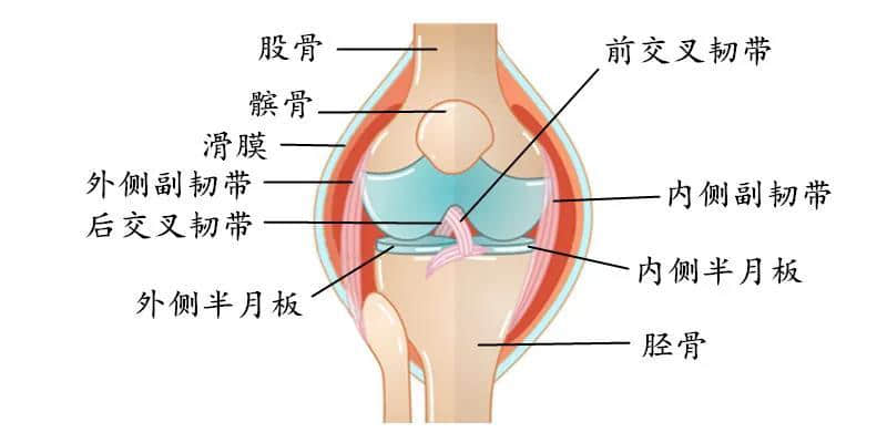 膝蓋不同部位疼是什么??？疼痛科醫(yī)生告訴您