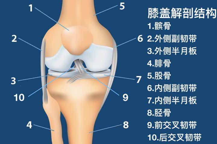 如何分辨半月板損傷還是韌帶損傷？