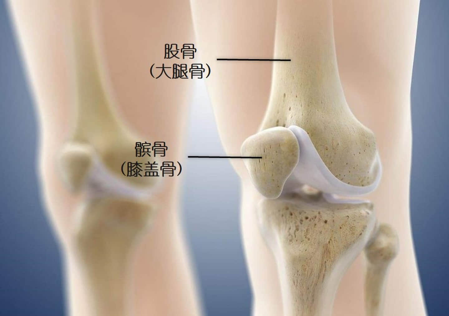這個(gè)膝痛是最常見的運(yùn)動(dòng)損傷，如何自我康復(fù)？