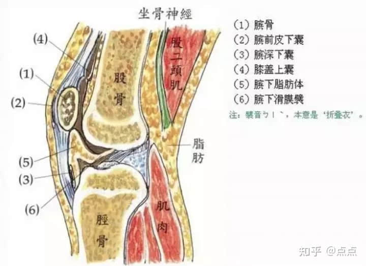 膝蓋受傷怎樣保守恢復(fù)？能自愈嗎？